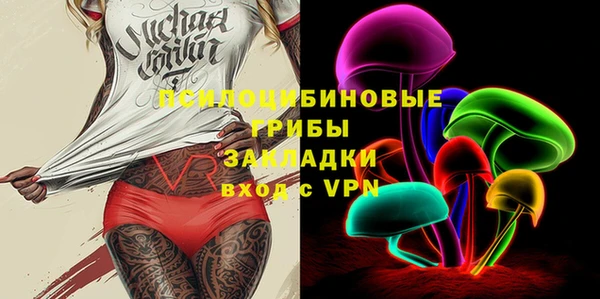 винт Алзамай